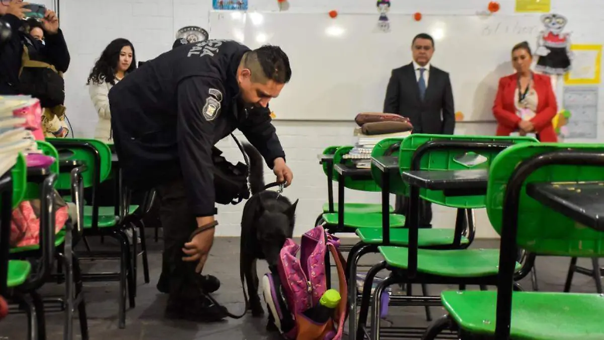 revision mochilas edomex Fotos Secretaría de Seguridad Edomex